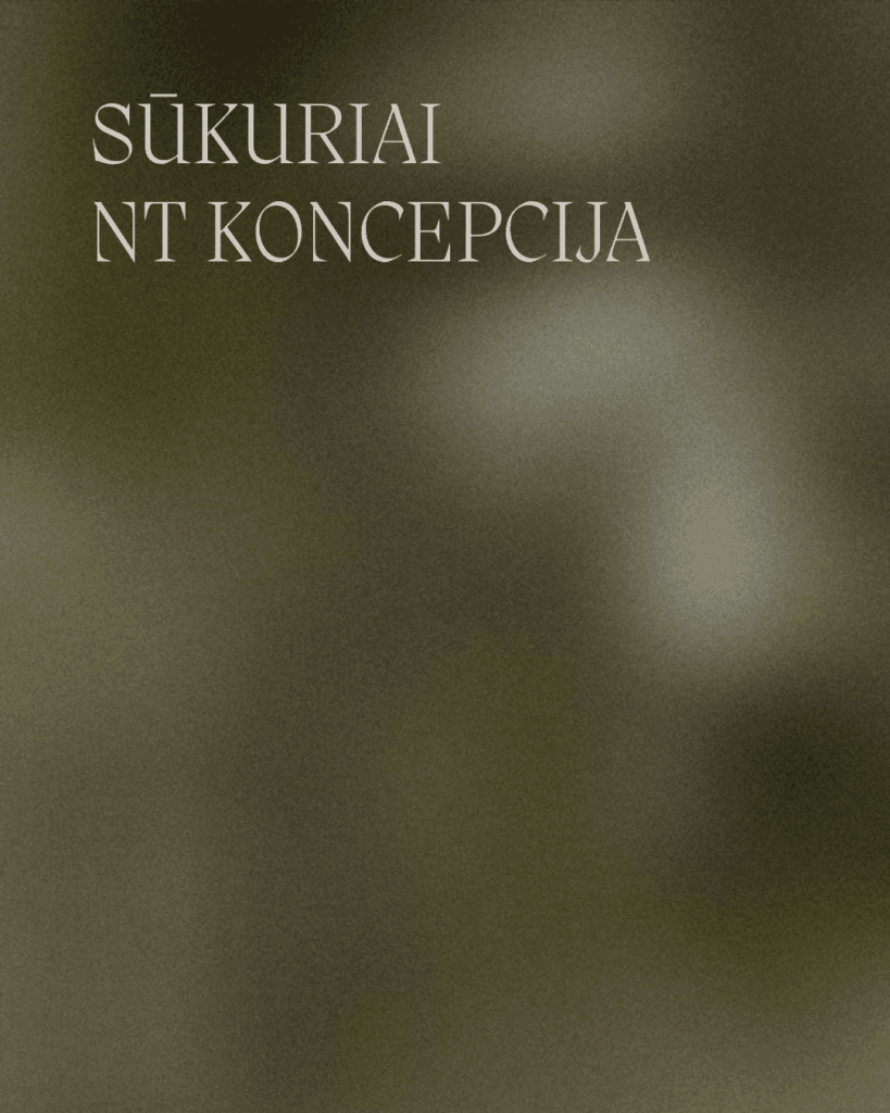 nt projekto koncepcija (5) nt rinkodaros strategija