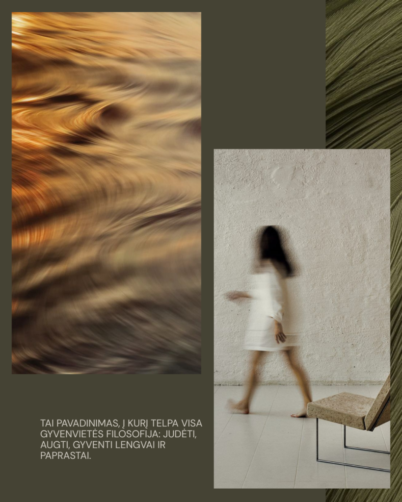 nt projekto strategija