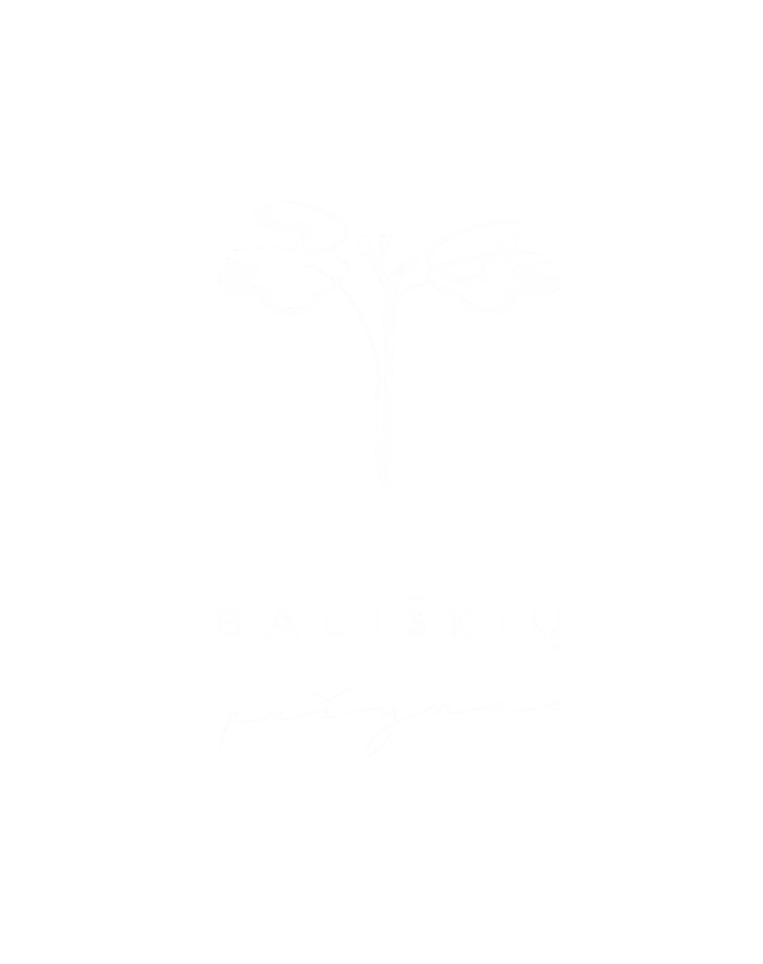 Bališkių pušynas – projekto vizualinė sistema Bališkių pušynas – projekto vizualinė sistema